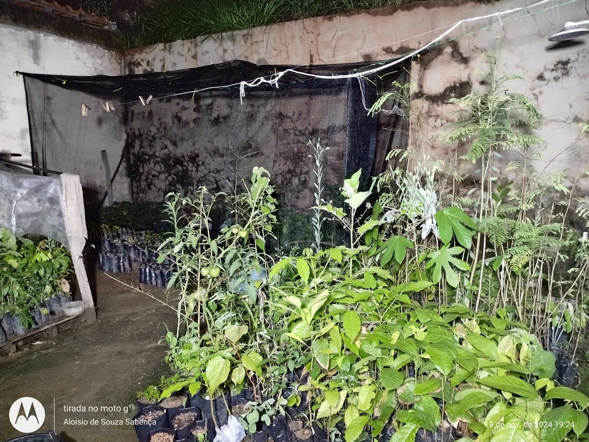 Você sabia? Em Pinheiral, RJ, existe um verdadeiro herói ambiental que poucos conhecem!